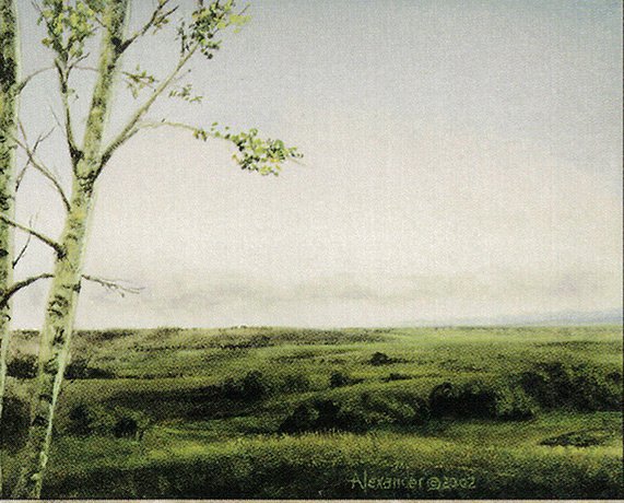 Plains