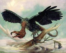 Screeching Buzzard