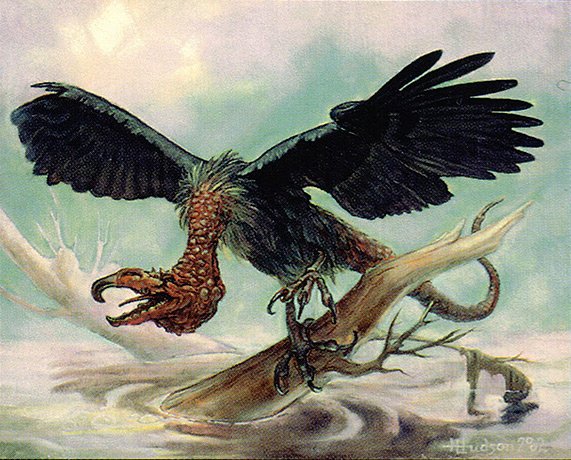 Screeching Buzzard