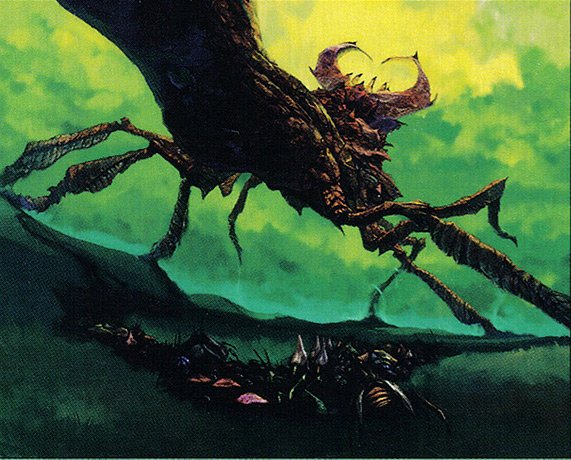 Stag Beetle