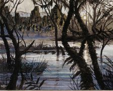 Swamp