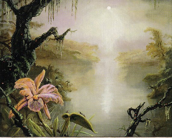 Swamp