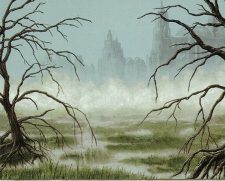 Swamp