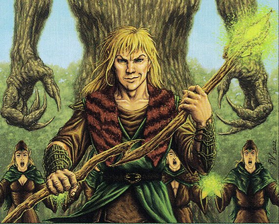 Voice of the Woods