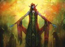 Elvish Visionary