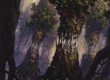 Evolving Wilds