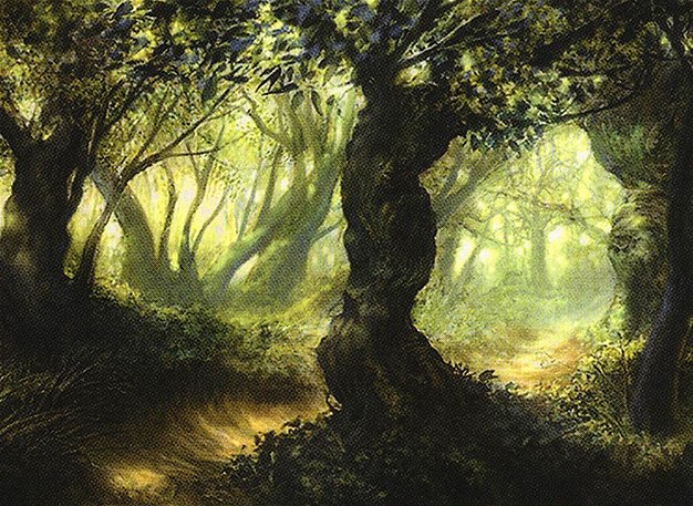 Forest