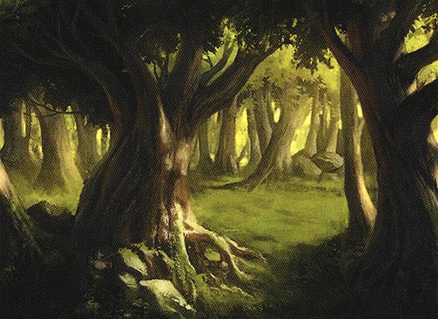 Forest