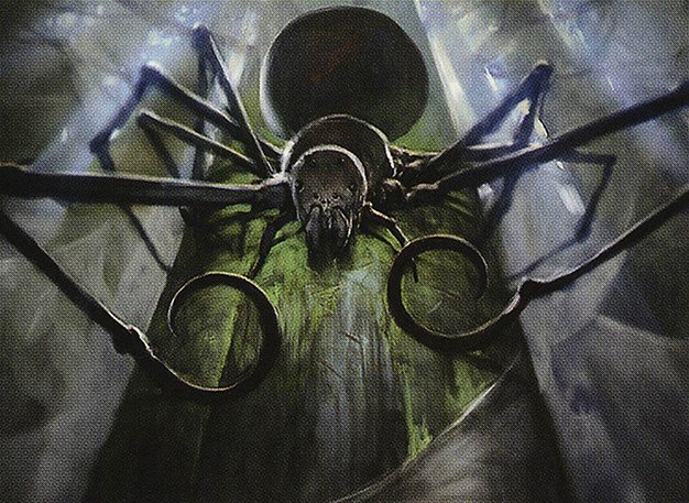 Hitchclaw Recluse