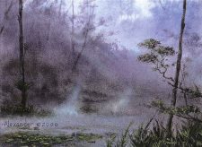 Llanowar Wastes