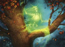 Orchard Spirit