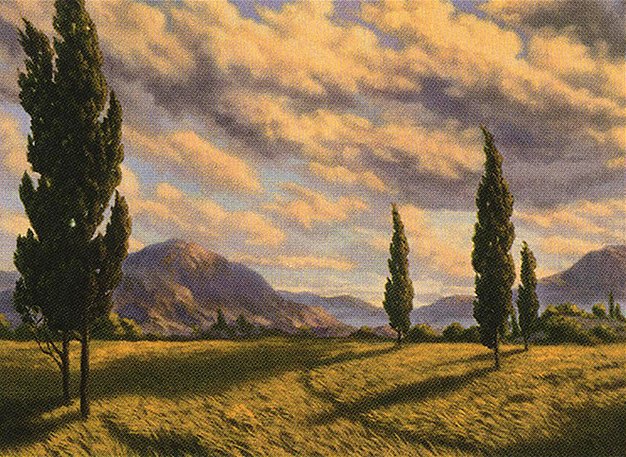 Plains