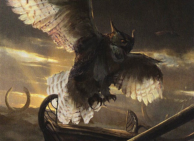Ringwarden Owl