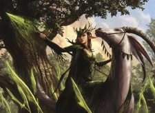 Shaman of the Pack