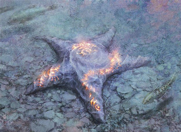 Sigiled Starfish
