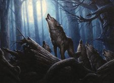 Somberwald Alpha