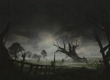 Swamp