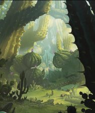 Forest