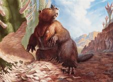Giant Beaver