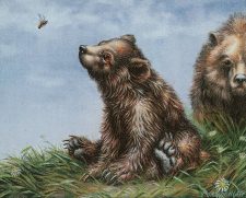 Bear Cub