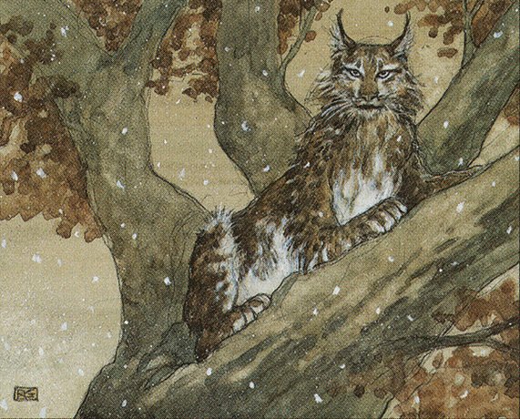 Lynx