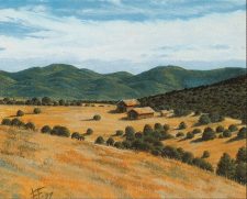 Plains