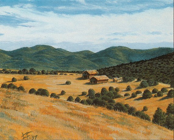 Plains
