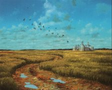 Plains