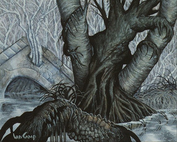 Swamp