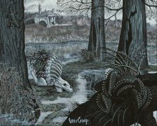Swamp