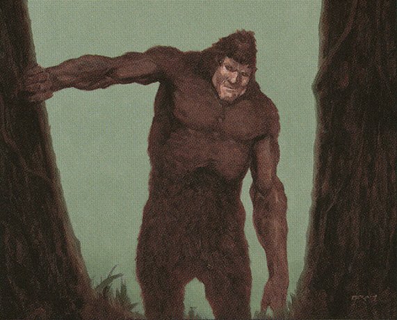 Sylvan Yeti