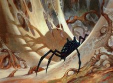 Penumbra Spider