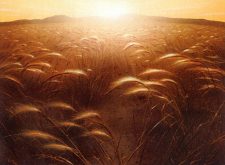 Plains