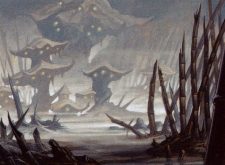 Swamp