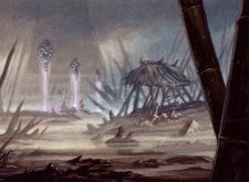 Swamp