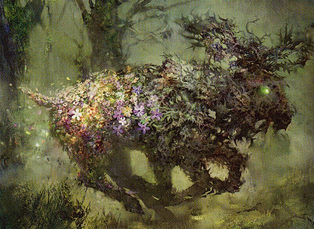 Elderwood Scion