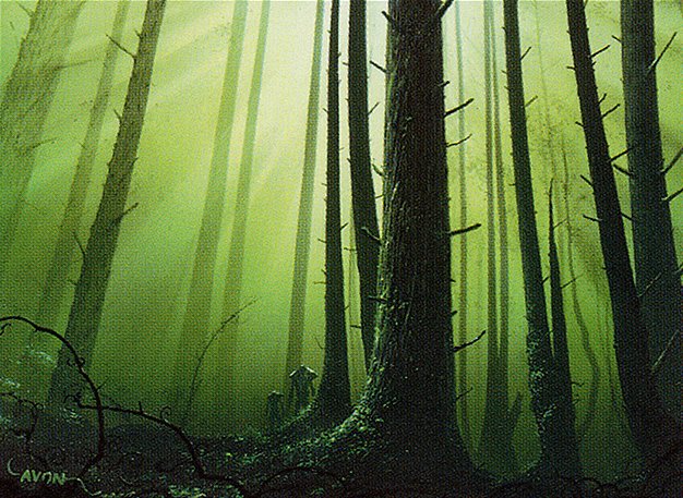 Forest