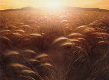 Plains