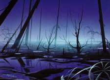 Swamp