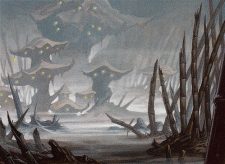 Swamp
