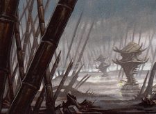Swamp
