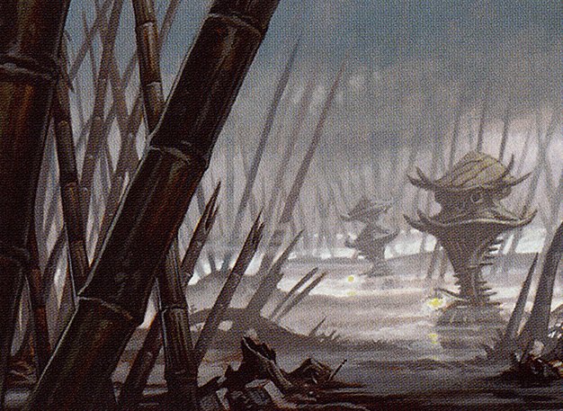 Swamp
