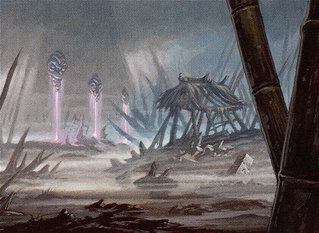 Swamp