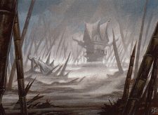 Swamp