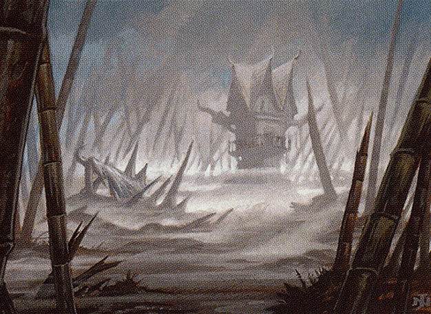 Swamp