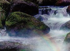 Vivid Creek