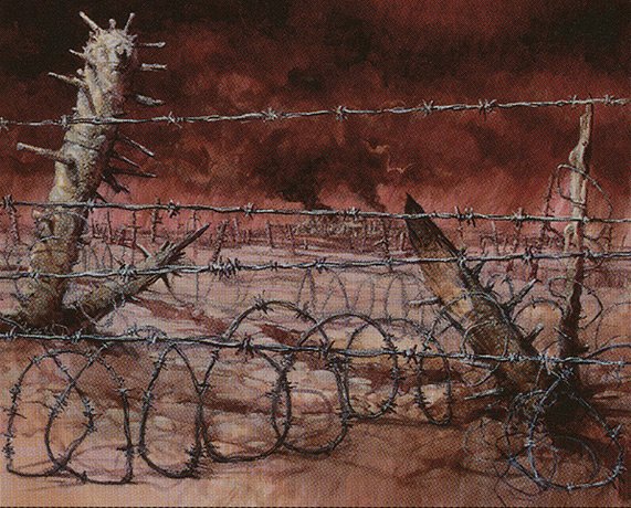 Barbed Field