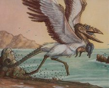 Coastal Hornclaw