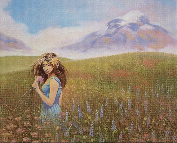 Flowering Field