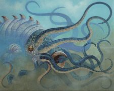 Gulf Squid